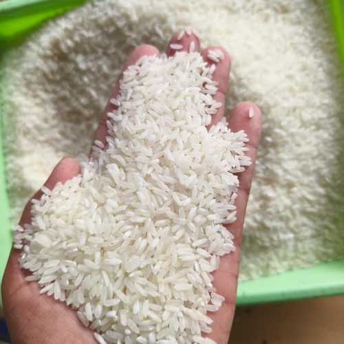 5% White Rice Silky Sortex IR64