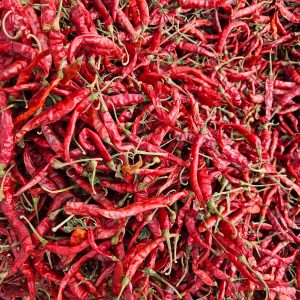 S17(Teja) – with Stem